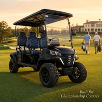 Carrito de Golf Eléctrico de 4 Plazas, Motor de CA de 4.0kW, 60V 100Ah, Negro, Vehículo Utilitario Todoterreno, OEM ODM