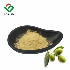 Çin tedarik saf zeytin yaprağı özü 80% <span class=keywords><strong>Oleuropein</strong></span> tozu toplu - Product Image 3