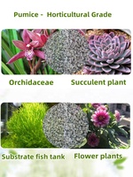 Pierre ponce de lave naturelle horticole jaune clair, amendement du sol durable, mélange de rempotage pour cactus, végétalien, sans tourbe