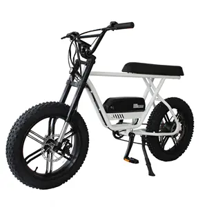 Bici elettrica chopper Fat bike bici elettrica Vintage 48v 750w bicicletta elettrica