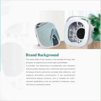 Analizador de Piel Facial Portátil MX de Fábrica OEM, Detector de Arrugas, Análisis de Humedad, Simulación de Envejecimiento, para Salón de Belleza, Uso Cosmético
