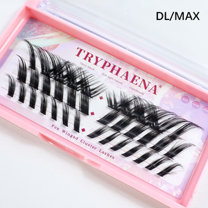 Fournitures de beauté <span class=keywords><strong>Cils</strong></span> segmentés Faux <span class=keywords><strong>Cils</strong></span> Clusters Maquillage Fibre Synthétique Marque privée Cluster Lashes Vendeur en gros - Product Image 6