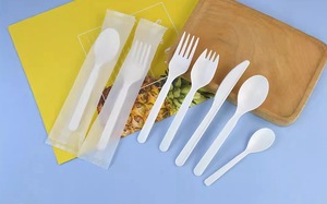 Cuchara Desechable Biodegradable de PLA de 6 Pulgadas, Envasada Individualmente, 100% Compostable, Resistente a Altas Temperaturas - Product Image 5