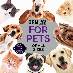 תמיכה בכליות לחיות מחמד לכלבים חתולים מחמד טיפות תוספת נוזלית תוספת נוזלית עבור כלבים - Product Image 5