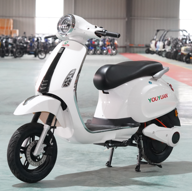 Classic Roman Holiday Electric Scooter Motorcycle V2 V5 TSL Version Lithium/Lead Acid  Battery Urban Adult Electric Vehicle