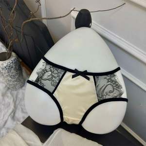 <strong>Sexy</strong> Ladies Fashion <strong>Soft</strong> Mesh with Band Lace at Leg Opening &amp;<strong>amp</strong>; Waist Women Panty - Product Image 4