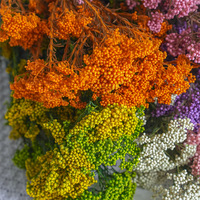 Langdurig bewaarde rijstbloemen bulk, natuurlijke gedroogde rijstbloemen voor thuis, café, hotel en villa interieurdecoratie