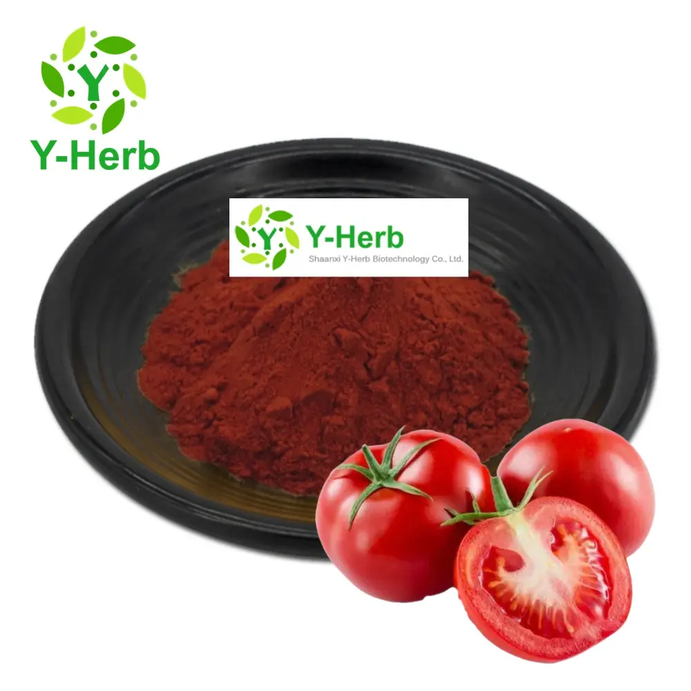 Lycopersicon esculentum Mill./Xi Hong Shi/Solanum lycopersicum Extract Powder 5% 10% 20% Tomato Extract Lycopene