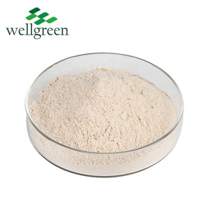 Atacado Natural Food Grade Fibra 99% Orgânica <span class=keywords><strong>Psyllium</strong></span> Casca Em Pó Para Perda De Peso - Product Image 2