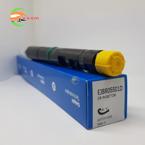Diesel brandstof <span class=keywords><strong>common</strong></span> <span class=keywords><strong>rail</strong></span> <span class=keywords><strong>injector</strong></span> EJBR05501D voor vrachtwagen EU4 2.9L CRDI <span class=keywords><strong>injector</strong></span> 33800-4x450 - Product Image 2