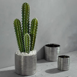 Macetas doradas <span class=keywords><strong>de</strong></span> lujo para decoración interior, macetas <span class=keywords><strong>de</strong></span> cerámica modernas para jardín y plantas, venta al por mayor - Product Image 2