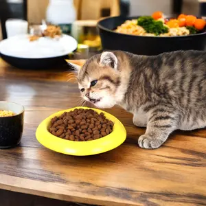 Evcil hayvan gıda kedi için OEM kuru kedi maması yüksek kaliteli evcil hayvan maması