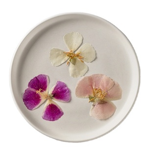 หน้ากาก Godetia Farewell To Spring ทำบัตรเครื่องประดับเรซินพืชธรรมชาติเป็นมิตรกับสิ่งแวดล้อมจริงกดดอกไม้ - Product Image 1