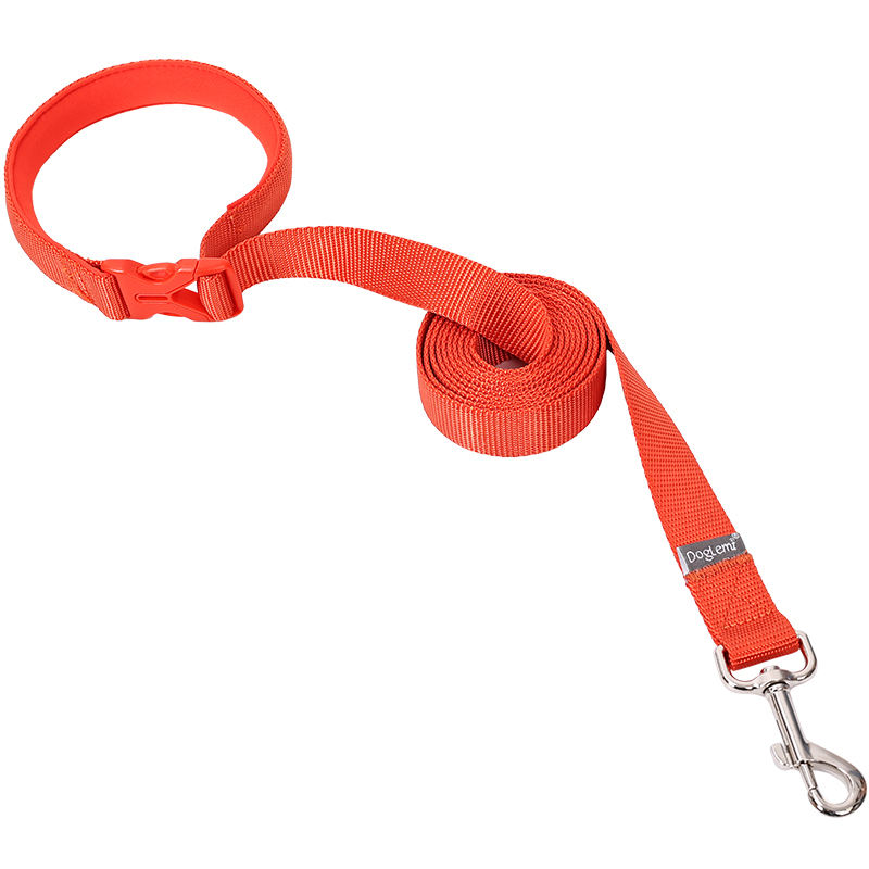 สายจูงสีส้มแดง