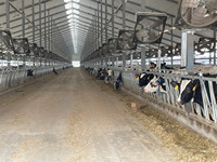 Sistema de cría automatizado estructura de acero granero Casa de granja rentable para cerdo vaca caballo cabra cría de aves de corral estable