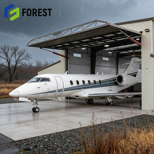 โรงเก็บเครื่องบินโครงสร้างเหล็กอุตสาหกรรมราคาโรงงาน ทนทานต่อแผ่นดินไหว สำหรับเครื่องบินเชิงพาณิชย์ พร้อมบริการออกแบบ - Product Image 1