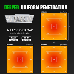Veg Bloom personnalisé Lm301 <span class=keywords><strong>Quantum</strong></span> Grow Light Board 120W panneau de lumière de croissance LED haute efficacité pour les plantes d'intérieur - Product Image 4