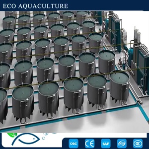 Sistema RAS-monitoreo en línea de la calidad del <span class=keywords><strong>agua</strong></span>/filtro de tambor/serilizador UV - Product Image 6