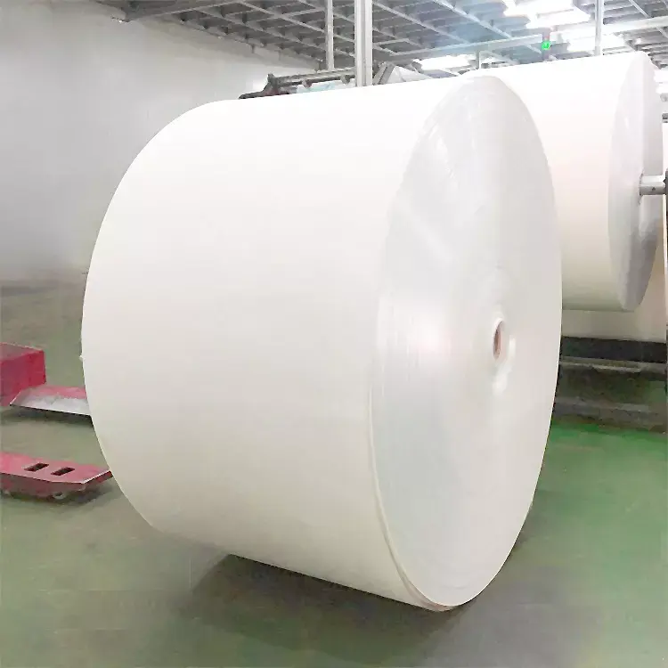 Rouleau de papier kraft blanc enduit Matière première Rouleaux de gobelets en papier Vente directe d'usine Offre Spéciale Pe Papier sulfurisé sans boisson