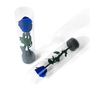 Fabricante de itens para presente que faz rosas preservadas azuis hastes longas flores rosas preservadas para a lista de itens para presente de esposa