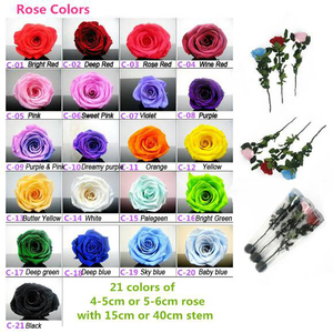 HFlora Factory Supply Wholesale Decorative Long Stem Preserved Rose for Celebration Wedding Valentine's Day Graduation <strong>Gift</strong> - Product Image 6