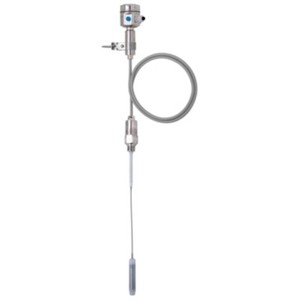 Nouveau produit Endress+Hauser Soliswitch FTE30 E+H – Détection de niveau par palette rotative en stock - Product Image 1