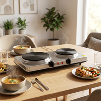 Plaque chauffante portable en acier inoxydable à 2 brûleurs 2500W 220V avec contrôle de la température pour la cuisine et l'utilisation en camping-car