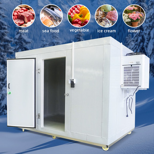 Cella Frigorifera Mobile CE Mini, Attrezzatura di Refrigerazione Portatile Monoblocco per Carne Bovina Omasum, Disponibile in Magazzino - Product Image 1