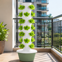 Système hydroponique de culture sans terre - Étagère de jardinage verticale pour légumes et micro-légumes
