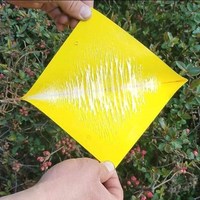 Fabrikant Direct Hoge Kwaliteit Groothandel Prijs Fruit Fly Killer Met Feromoon Doden Fruit Flies + Killer Insect Fly Vallen 10 stuks