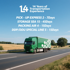 Envío marítimo rápido de contenedores FCL a Portugal, España, Marruecos, ruta Atlántica con solución logística completa DDP, entrega en 23 días - Product Image 3