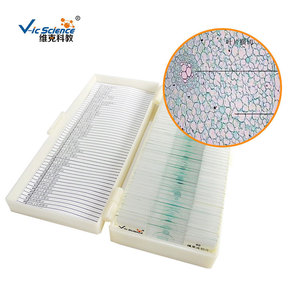 Plant leaf cross-sections, biological slides for <b>microscope</b> use, elementary school biology teaching slides. - Product Image 2