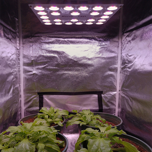 L'agriculture verticale élèvent des lumières fabricant <span class=keywords><strong>Koray</strong></span> g1000 2024New led élèvent la lumière à l'intérieur 100W 200W 400W OEM/ODM led lumière à l'intérieur - Product Image 4