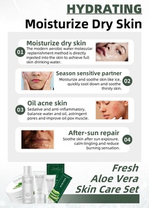 Gel Hidratante de <span class=keywords><strong>Aloe</strong></span> Vera 99% Orgánico <span class=keywords><strong>Puro</strong></span> OEM, Mascarilla Facial <span class=keywords><strong>en</strong></span> Gel, Gel Calmante para el Cuidado de <span class=keywords><strong>la</strong></span> Piel, Set de <span class=keywords><strong>Aloe</strong></span> Vera para <span class=keywords><strong>la</strong></span> <span class=keywords><strong>Cara</strong></span> - Product Image 6