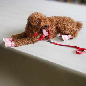 4 Pezzi Scarpe Antiscivolo Impermeabili <span class=keywords><strong>per</strong></span> Cuccioli Sneakers Traspiranti Stivaletti <span class=keywords><strong>per</strong></span> Cani - Product Image 6