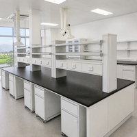 Table de travail de laboratoire de biotechnologie à structure en acier robuste avec plateau phénolique et station d'évier