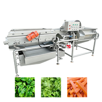 304 RVS Wervelstroom Groente- en Fruitwasmachine