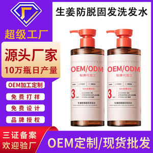 Shampoo anti-chute de cheveux au gingembre OEM, extrait de gingembre 6X, renforce les racines des cheveux, tous types de cheveux - Product Image 3