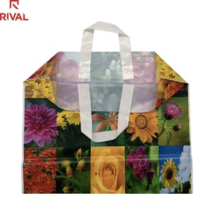 Plastic Large Multi-color Promotional Shopping Bags Gift Bag Plastic Bag with Loop Handle
