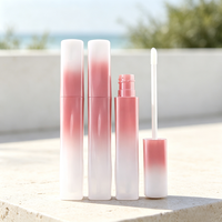 Tube de brillant à lèvres carré dégradé mignon de 4 ml, conteneur vide pour gloss, couleur personnalisée, flacon cosmétique pour huile à lèvres et teinte à lèvres