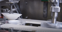 Machine d'emballage de sachets préfabriqués automatique SG-210 machine de remplissage de sachets de granulés de poudre horizontaux pour liquides machine à sceller les sachets