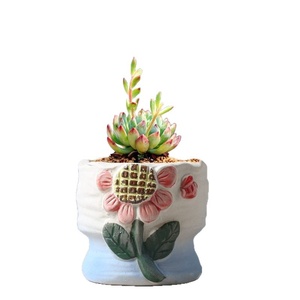 Maceta de Cerámica Pequeña en Forma de Hongo, Estilo Rústico Pastoral, Autoabsorbente, Transpirable, Tallada a Mano, Diseño Inteligente, <span class=keywords><strong>Kit</strong></span> de Maceta para Plantas Suculentas - Product Image 5