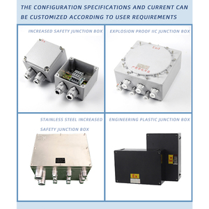 Shen Hai BDZ52 IP66 Disjoncteur antidéflagrant Disjoncteur de classe antidéflagrant pour alarme incendie - Product Image 6