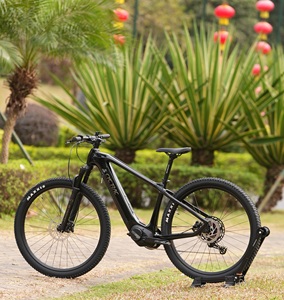 ผู้จัดจำหน่ายมืออาชีพ จักรยานไฟฟ้า 29er 500w มอเตอร์กลาง Em8, M6100/12s+m560/500w+48v14a, รุ่น Low Bike - Product Image 1