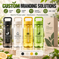 Bouteille d'eau infuseur de fruits en gros de 600 ml et 800 ml avec poignée de transport, joint en silicone et filtre amovible