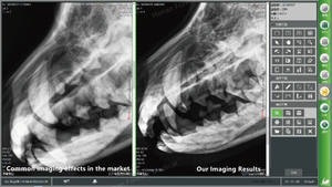 نظام تصوير بالأشعة السينية للحيوانات بسعر منخفض من الشركة المصنعة 35 كيلو وات عيادة بيطرية مستشفى بيطري آلة التصوير بالأشعة السينية الرقمية - Product Image 6