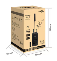 Haut-parleur portable d'extérieur rechargeable de 8 pouces pour guitare, instrument de karaoké de fête mobile, caisson de basses avec Line Array