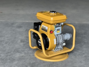 China Jiangsu Factory <strong>Concrete</strong> <strong>Vibrator</strong> By High Quality <strong>Robin</strong> Gasoline Engine EY20D For Hot Sale - Product Image 4