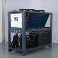 Refroidisseur industriel à basse température RUIHAI RHP-15AL 15HP -10°C refroidi par air pour système de refroidissement de procédé au glycol de réacteur chimique
