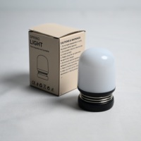 Mini lampe de poche portable 1,5W rechargeable par USB 625~630nm rouge 3 niveaux de luminosité Contrôle par pression Lampe de nuit LED pour enfants